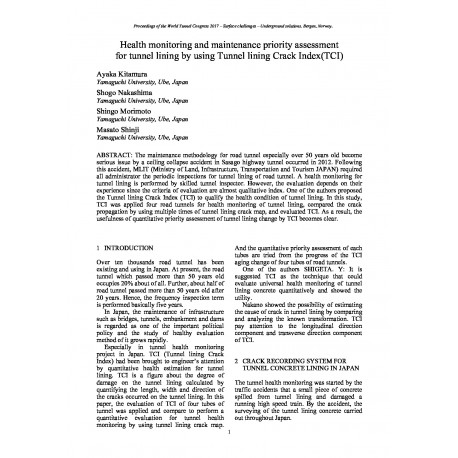 Health monitoring and maintenance priority assessment for tunnel lining by using Tunnel lining Crack Index(TCI)