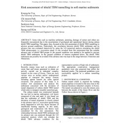 Risk assessment of shield TBM tunnelling in soft marine sediments