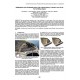 Stabilization of the Occidental Sector of the Ancient Quarry of Punta Lucero in the Port of Bilbao (Spain)