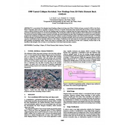 1989 Tunnel Collapse Revisited: New Findings from 3D Finite Element Back Analyses