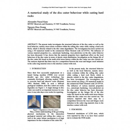 A numerical study of the disc cutter behaviour while cutting hard rocks