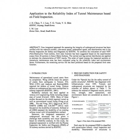 Application to the Reliability Index of Tunnel Maintenance based on Field Inspection