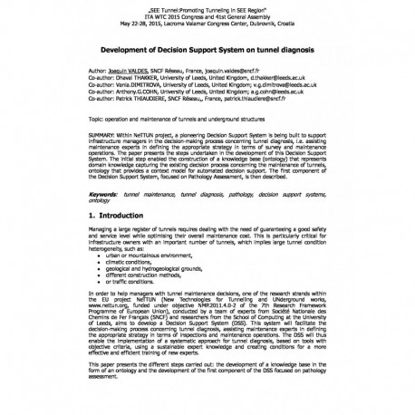 Development of Decision Support System on tunnel diagnosis