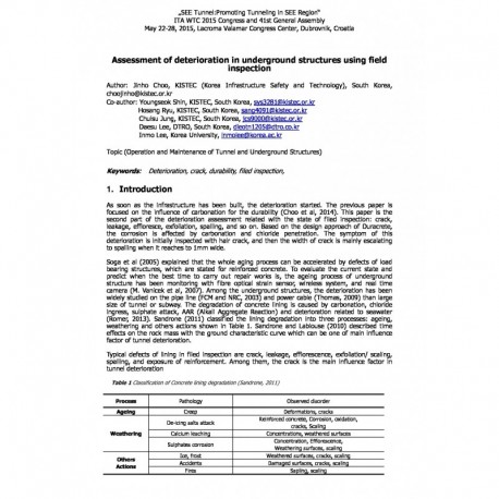 Assessment of deterioration in underground structures using field  inspection