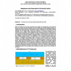 Assessment and Preservation of Immersion Joints